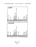 Compositions and methods for modifying the content of polyunsaturated fatty acids in mammalian cells diagram and image