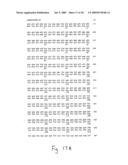 Compositions and methods for modifying the content of polyunsaturated fatty acids in mammalian cells diagram and image