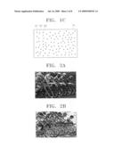 Method of obtaining variance data or standard deviation data for reducing noise, and digital photographing apparatus including recording medium storing variance data or standard deviation data for reducing noise diagram and image