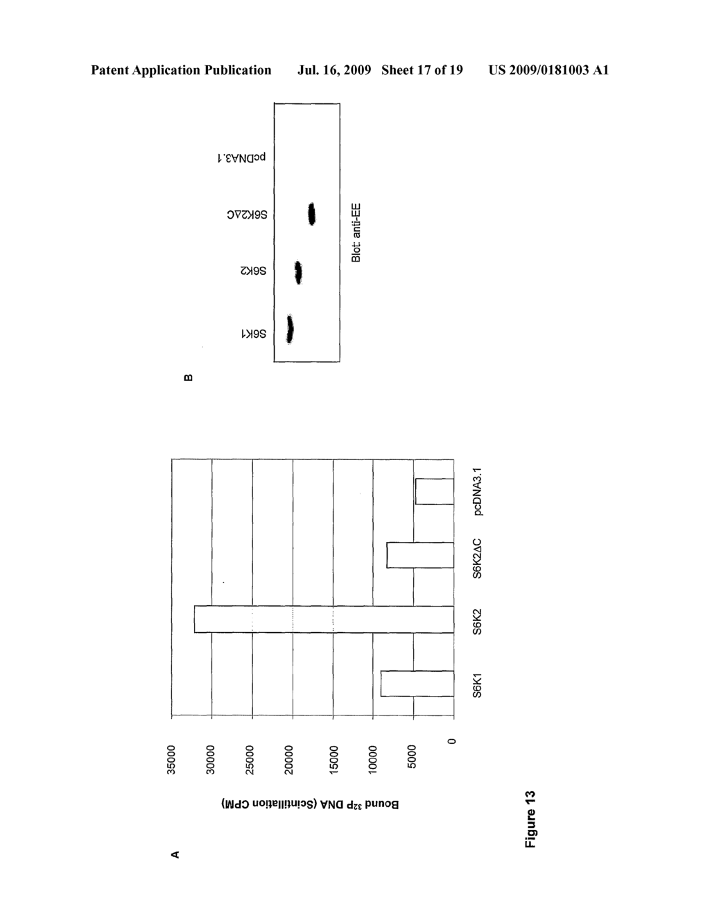 Regulation of S6 Kinsase Protein Activity and Related Methods - diagram, schematic, and image 18