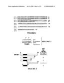 NUCLEIC ACID ENCODING PROTEINS INVOLVED IN PROTEIN DEGRADATION, PRODUCTS AND METHODS RELATED THERETO diagram and image