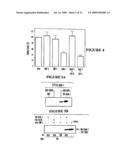 NUCLEIC ACID ENCODING PROTEINS INVOLVED IN PROTEIN DEGRADATION, PRODUCTS AND METHODS RELATED THERETO diagram and image