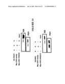 NUCLEIC ACID ENCODING PROTEINS INVOLVED IN PROTEIN DEGRADATION, PRODUCTS AND METHODS RELATED THERETO diagram and image