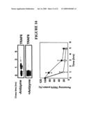 NUCLEIC ACID ENCODING PROTEINS INVOLVED IN PROTEIN DEGRADATION, PRODUCTS AND METHODS RELATED THERETO diagram and image