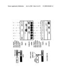 NUCLEIC ACID ENCODING PROTEINS INVOLVED IN PROTEIN DEGRADATION, PRODUCTS AND METHODS RELATED THERETO diagram and image