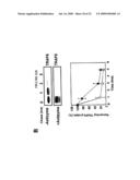 NUCLEIC ACID ENCODING PROTEINS INVOLVED IN PROTEIN DEGRADATION, PRODUCTS AND METHODS RELATED THERETO diagram and image