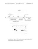 Tomoregulin-2-antibody compositions and methods for the diagnosis and treatment of Alzheimer s disease diagram and image