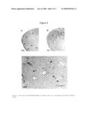 Tomoregulin-2-antibody compositions and methods for the diagnosis and treatment of Alzheimer s disease diagram and image