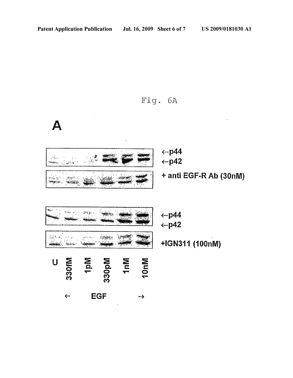 USE OF A PREPARATION BASED ON AN ANTIBODY DIRECTED AGAINST A TUMOR-ASSOCIATED GLYCOSYLATION - diagram, schematic, and image 07