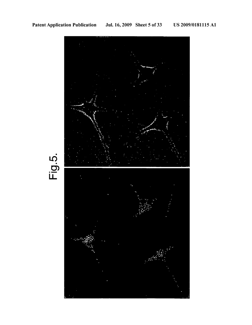 Method of Screening for Compounds That Alter Skin and/or Hair Pigmentation - diagram, schematic, and image 06