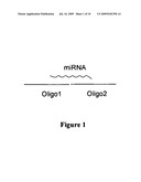 HIGH THROUGHPUT DETECTION OF MICRORNAS AND USE FOR DISEASE DIAGNOSIS diagram and image