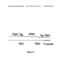 HIGH THROUGHPUT DETECTION OF MICRORNAS AND USE FOR DISEASE DIAGNOSIS diagram and image