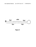 HIGH THROUGHPUT DETECTION OF MICRORNAS AND USE FOR DISEASE DIAGNOSIS diagram and image