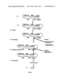 HIGH THROUGHPUT DETECTION OF MICRORNAS AND USE FOR DISEASE DIAGNOSIS diagram and image