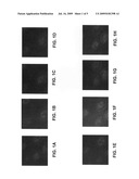 Nanoparticle conjugates diagram and image