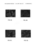 Nanoparticle conjugates diagram and image