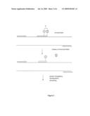 Detection format for hot start real time polymerase chain reaction diagram and image
