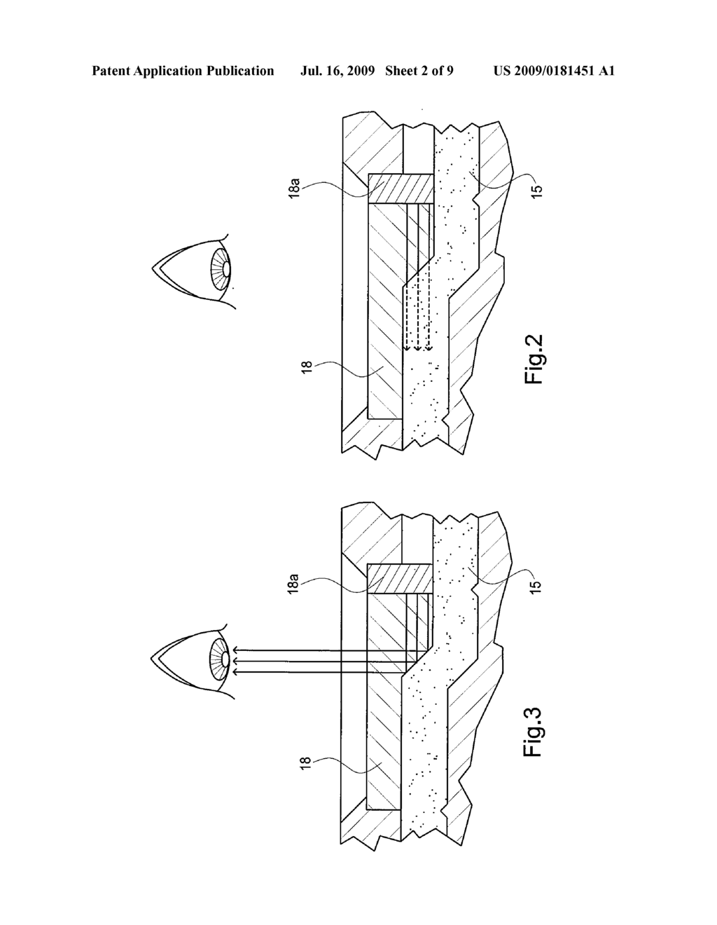 SPECIMEN SAMPLE COLLECTION DEVICE AND TEST SYSTEM - diagram, schematic, and image 03