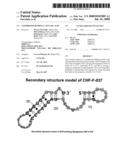 Vasopressin-Binding L-Nucleic Acid diagram and image