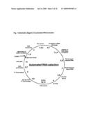 Vasopressin-Binding L-Nucleic Acid diagram and image