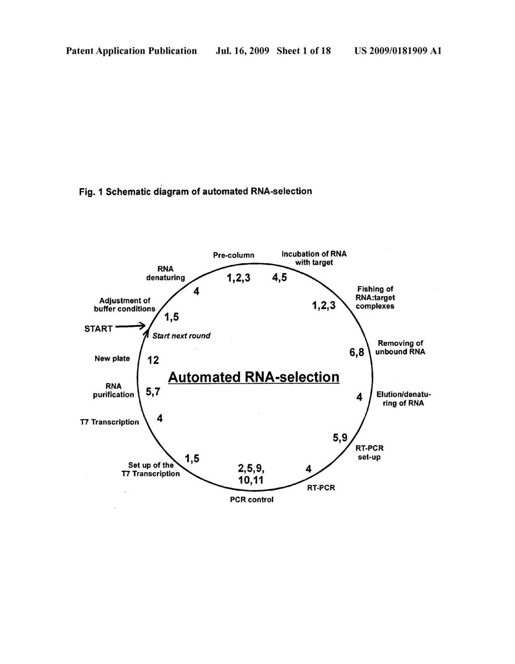 Vasopressin-Binding L-Nucleic Acid - diagram, schematic, and image 02