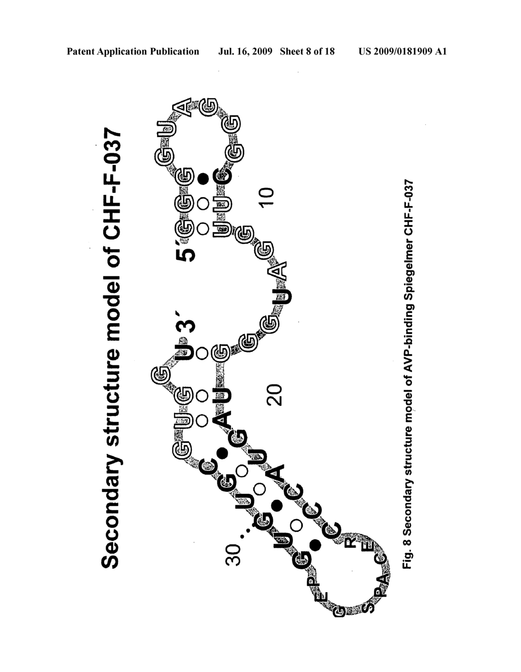 Vasopressin-Binding L-Nucleic Acid - diagram, schematic, and image 09