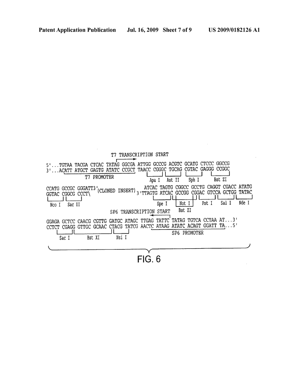 GUANYLATE-BINDING PROTEIN - diagram, schematic, and image 08