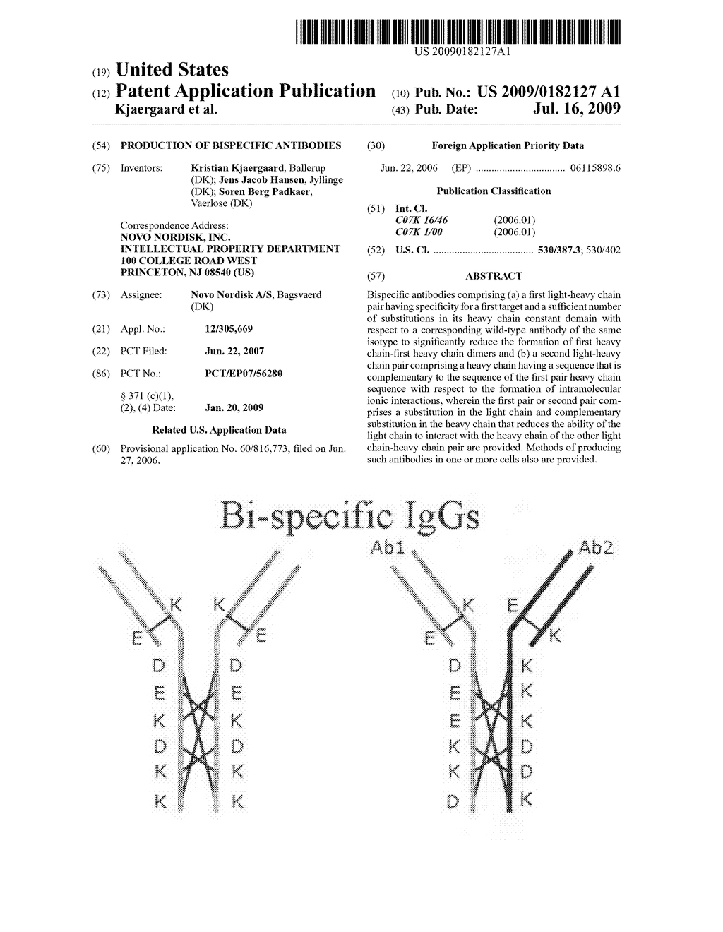 Production of Bispecific Antibodies - diagram, schematic, and image 01