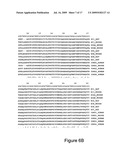 Production of Bispecific Antibodies diagram and image