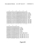 Production of Bispecific Antibodies diagram and image