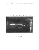 Production of Bispecific Antibodies diagram and image