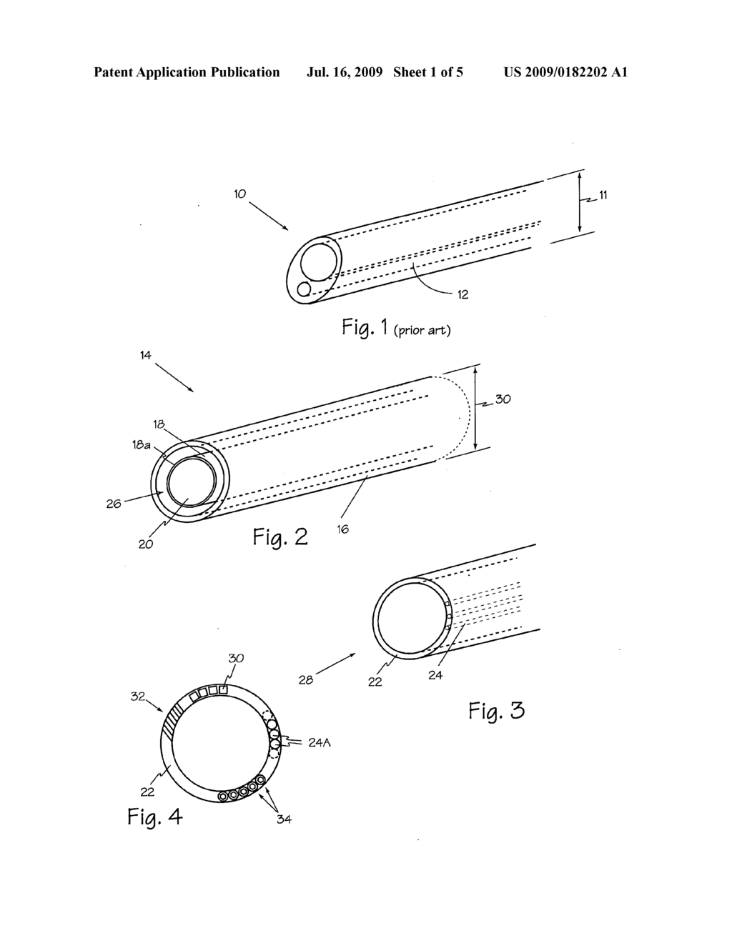 Optical Waveguide Sheath - diagram, schematic, and image 02