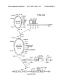 Transgenic Plants Modified for Reduced Cadmium Transport, Derivative Products, and Related Methods diagram and image