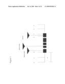 NUCLEOTIDE SEQEUNCES MEDIATING MALE FERTILITY AND METHOD OF USING SAME diagram and image