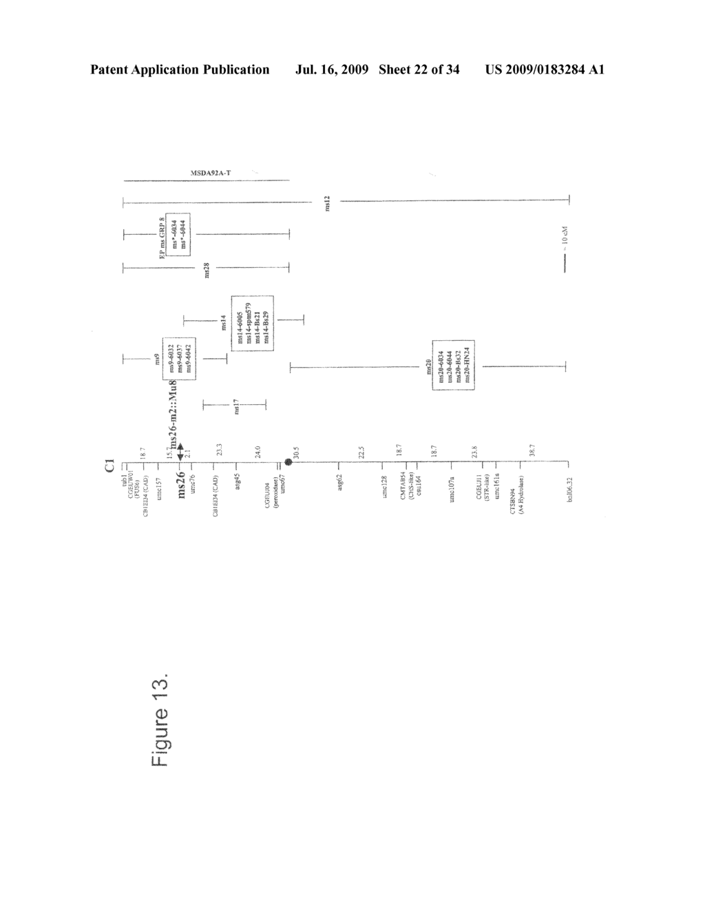 NUCLEOTIDE SEQEUNCES MEDIATING MALE FERTILITY AND METHOD OF USING SAME - diagram, schematic, and image 23