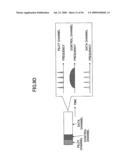 TRANSMITTER, RECEIVER, AND MOBILE COMMUNICATION SYSTEM diagram and image