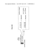 TRANSMITTER, RECEIVER, AND MOBILE COMMUNICATION SYSTEM diagram and image