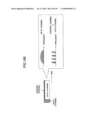 TRANSMITTER, RECEIVER, AND MOBILE COMMUNICATION SYSTEM diagram and image