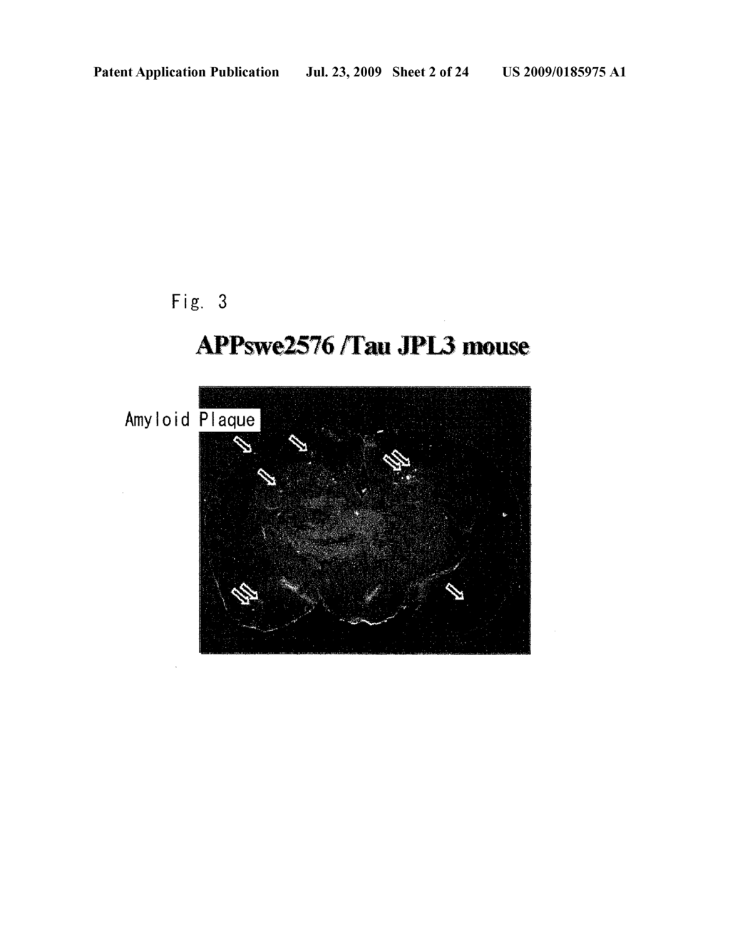 DIAGNOSTIC PROBE FOR CONFORMATION DISEASE - diagram, schematic, and image 03