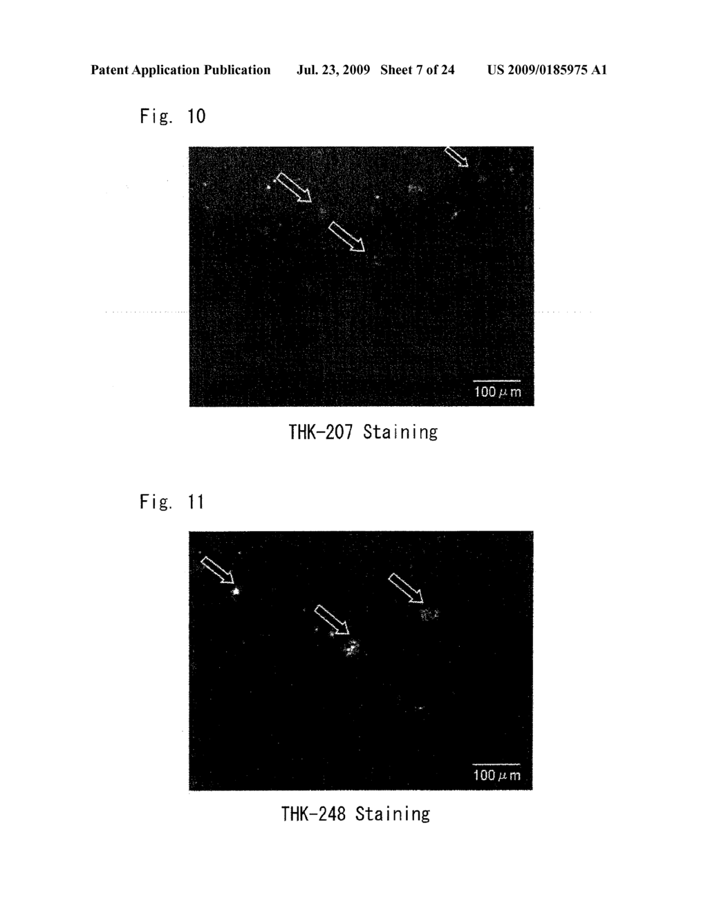 DIAGNOSTIC PROBE FOR CONFORMATION DISEASE - diagram, schematic, and image 08