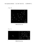 DIAGNOSTIC PROBE FOR CONFORMATION DISEASE diagram and image