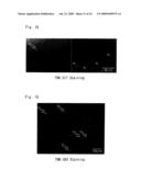 DIAGNOSTIC PROBE FOR CONFORMATION DISEASE diagram and image