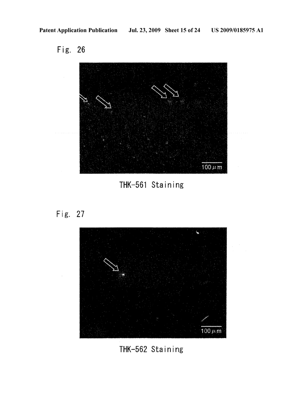 DIAGNOSTIC PROBE FOR CONFORMATION DISEASE - diagram, schematic, and image 16