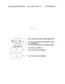 Melanocortin Receptor Binding Mimetibodies, Compositions, Methods and Uses diagram and image