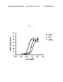 Melanocortin Receptor Binding Mimetibodies, Compositions, Methods and Uses diagram and image