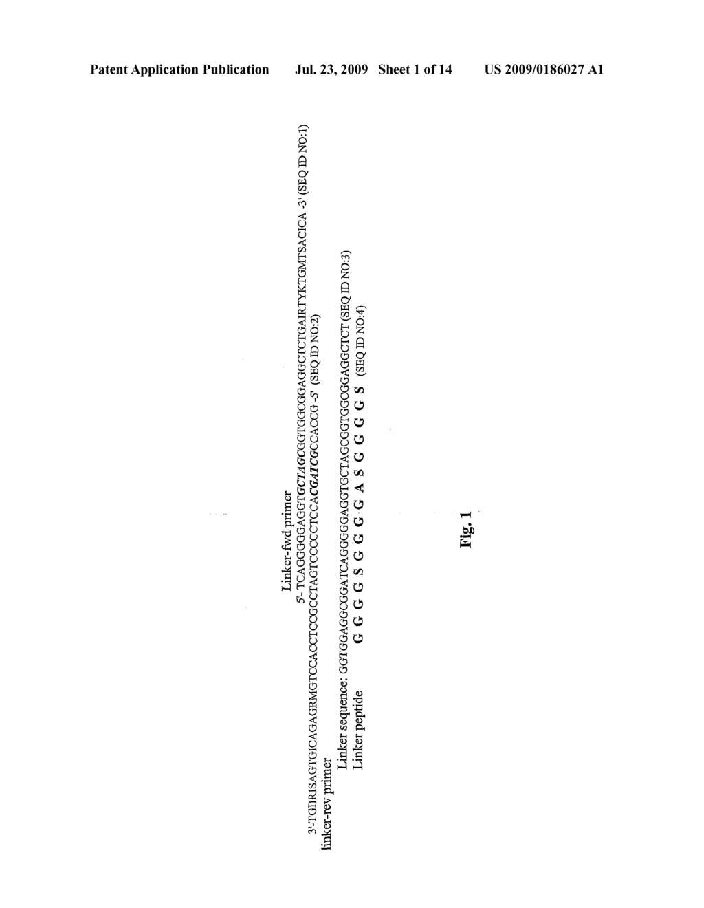 SINGLE CHAIN ANTIBODIES AGAINST BETA-AMYLOID PEPTIDE - diagram, schematic, and image 02