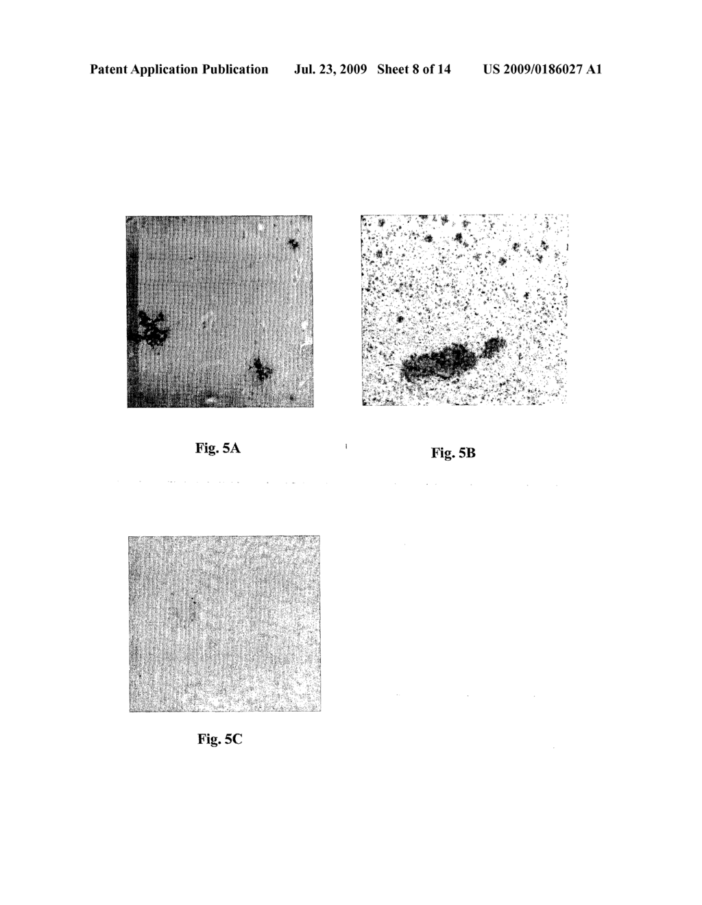 SINGLE CHAIN ANTIBODIES AGAINST BETA-AMYLOID PEPTIDE - diagram, schematic, and image 09