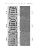 Antibodies that specifically bind hedgehog-derived polypeptides diagram and image