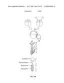 Antibodies that specifically bind hedgehog-derived polypeptides diagram and image