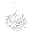 Antibodies that specifically bind hedgehog-derived polypeptides diagram and image